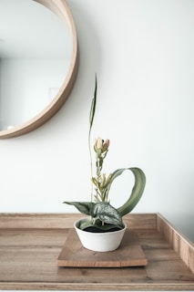 A stylish entryway setup featuring a modern key holder and a small plant pot.