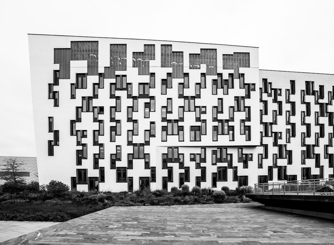 architectural building in monochrome photo