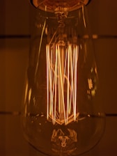 clear glass light bulb