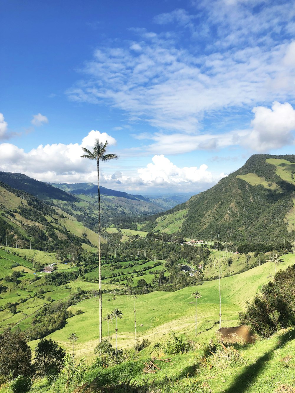 Colombia's Great History: Lush Natural Beauty
