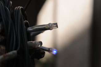 A close-up view of a bundle of black wires featuring several transparent LED bulbs, one of which is illuminated with a faint blue light. The background is blurred with soft, shadowed lighting.