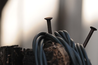 A close-up of two rusted nails protruding from a weathered piece of wood, with a coiled dark cable or rope wrapped around the structure. The background is blurred, providing a soft contrast to the sharp details of the rusted nails and the dark cable.