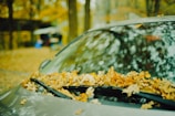 A car windshield covered with fallen autumn leaves, surrounded by a blurred background of trees and more leaves on the ground, creating an impression of a park or forest setting.