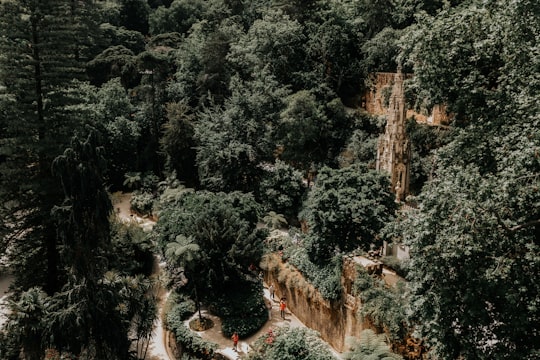 photo of Quinta da Regaleira Forest near Sintra