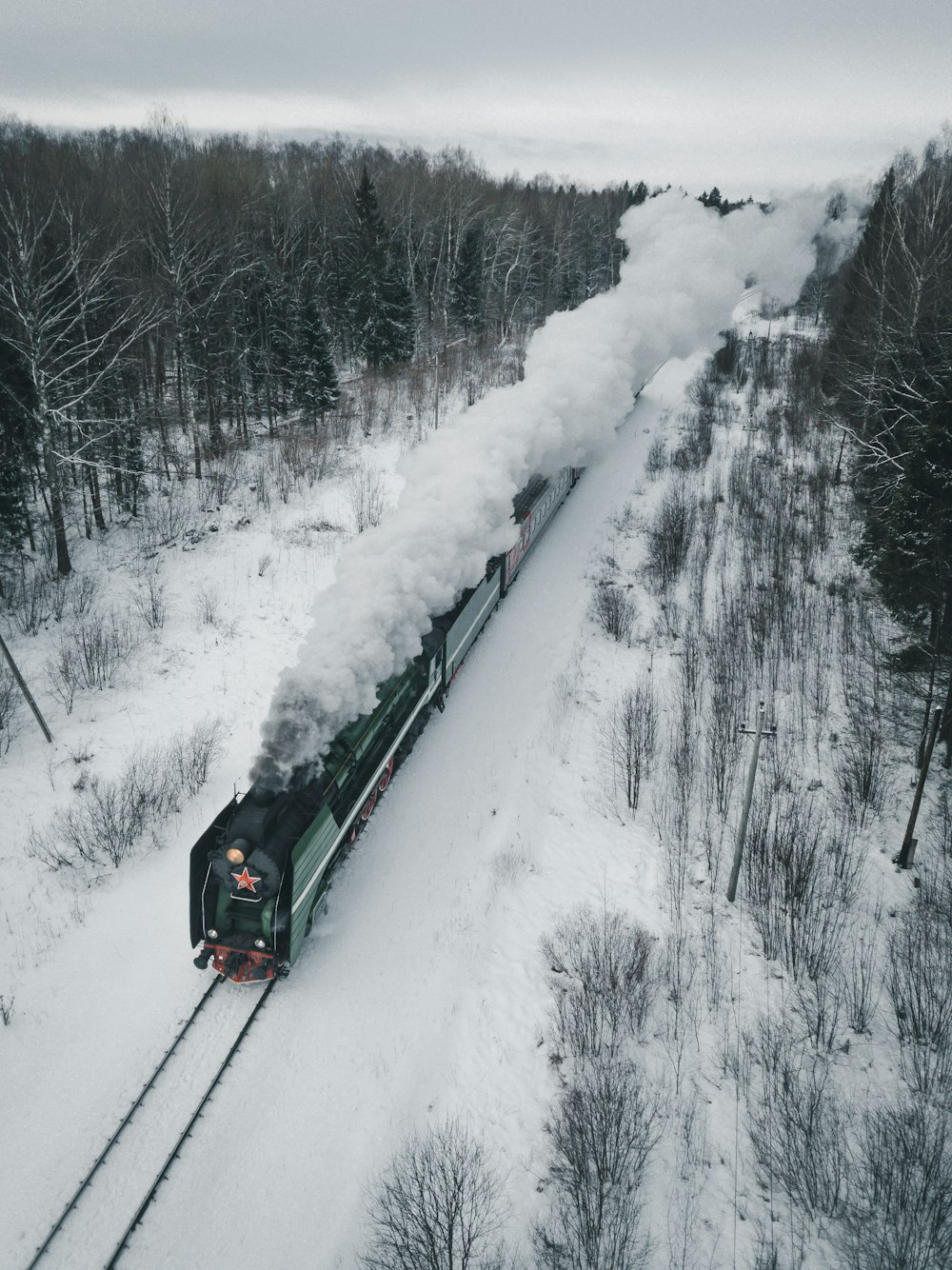 train surrounded by trees