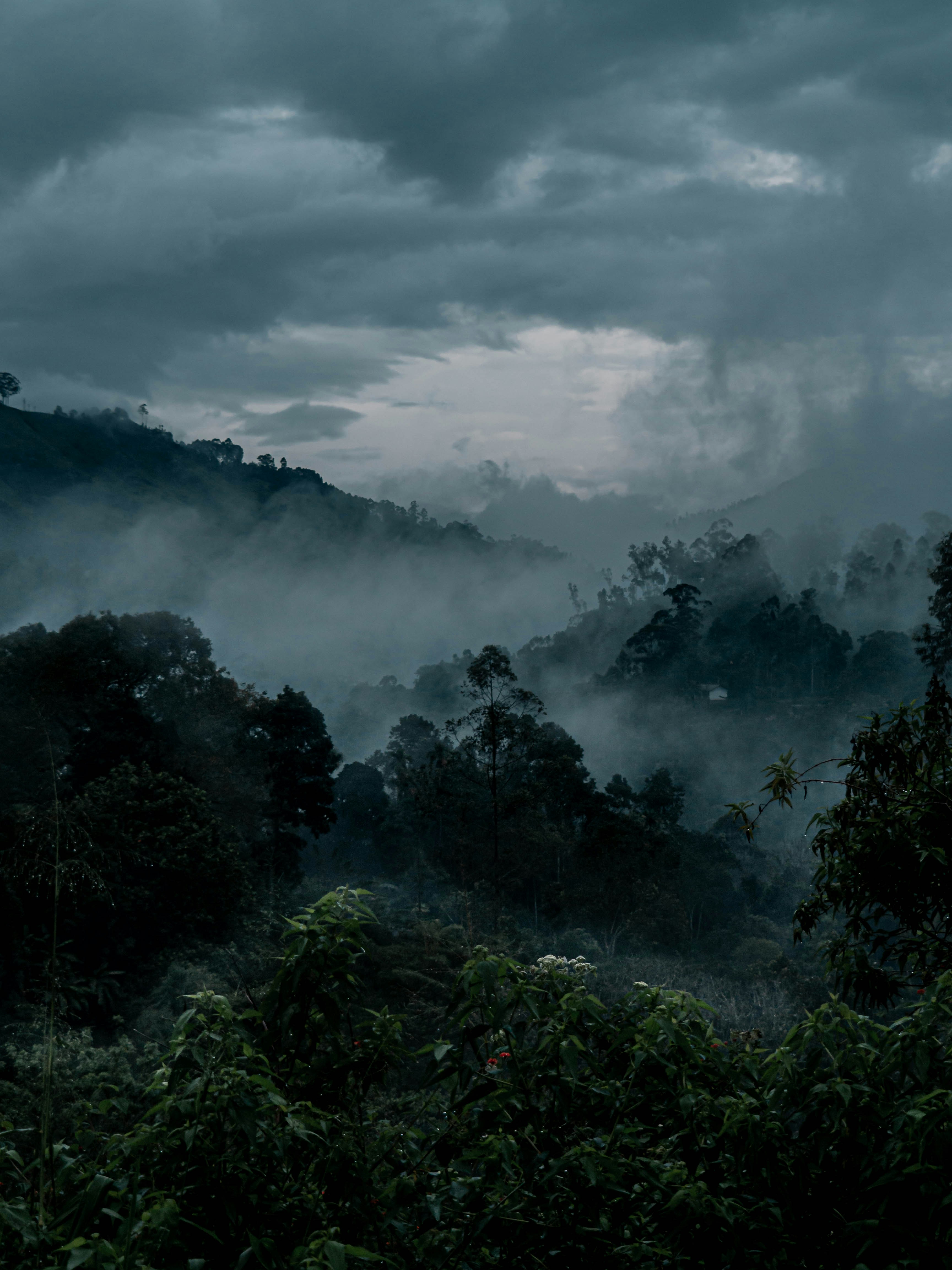 Photo by fedorchenkoalina