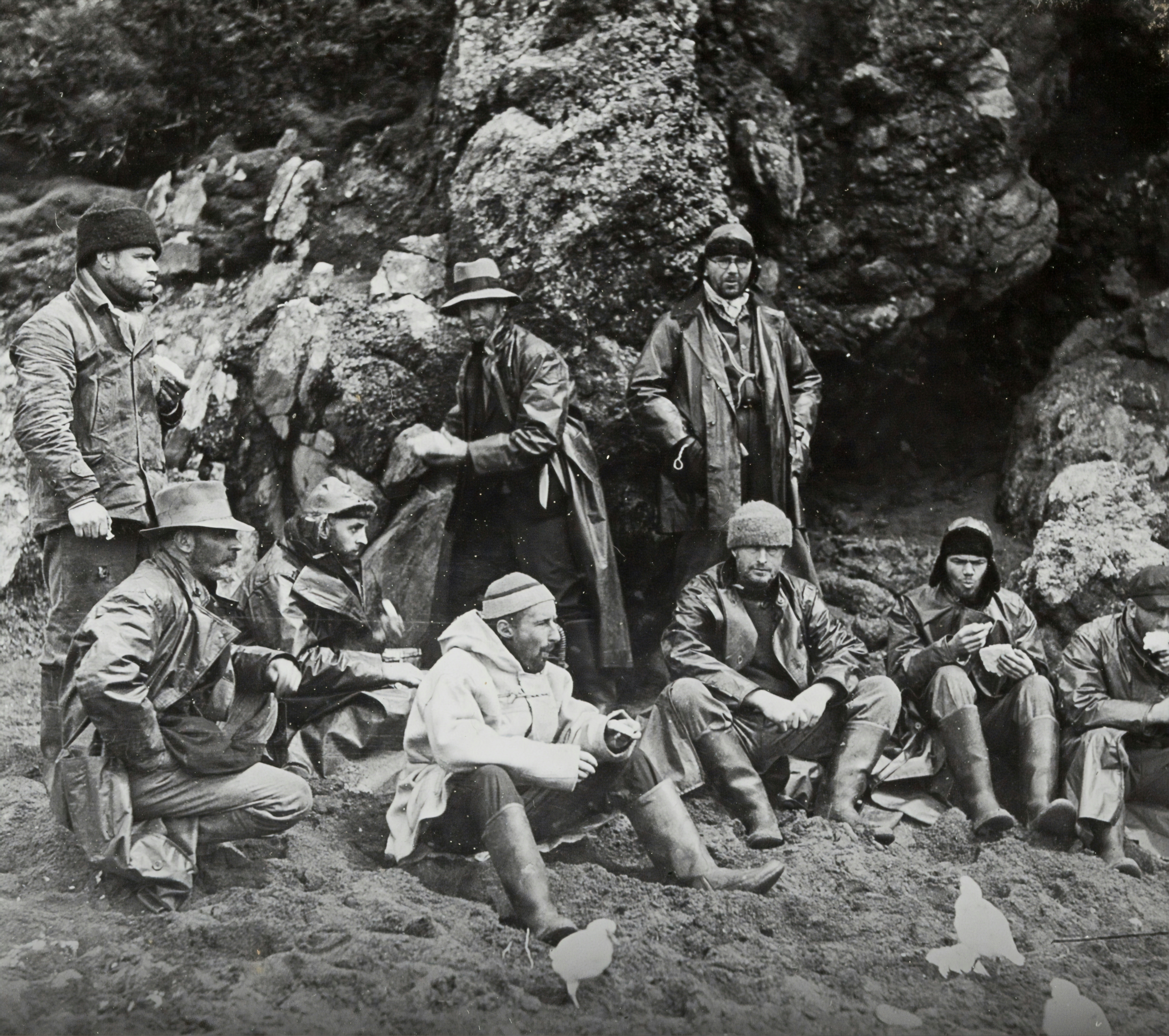Lantern Slide - 'Ashore at the Crozet Islands. Inquisitive Paddys', BANZARE Voyage 1, Antarctica, 1929-1930 Photographer: Frank Hurley