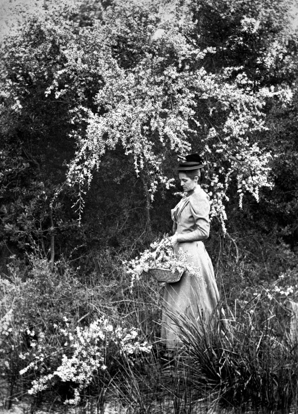 Frau steht unter Baum