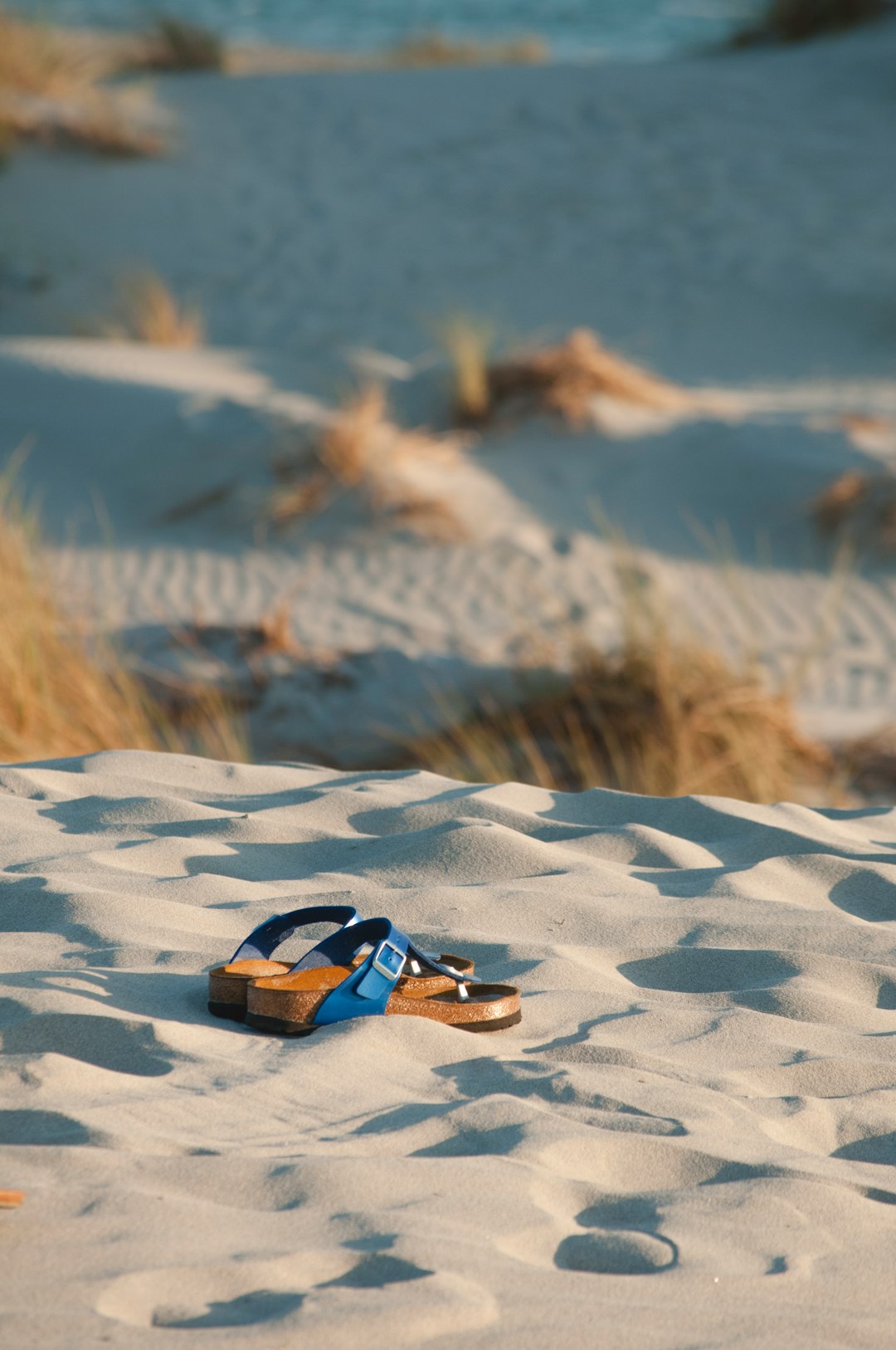 brown-and-blue flip-flops