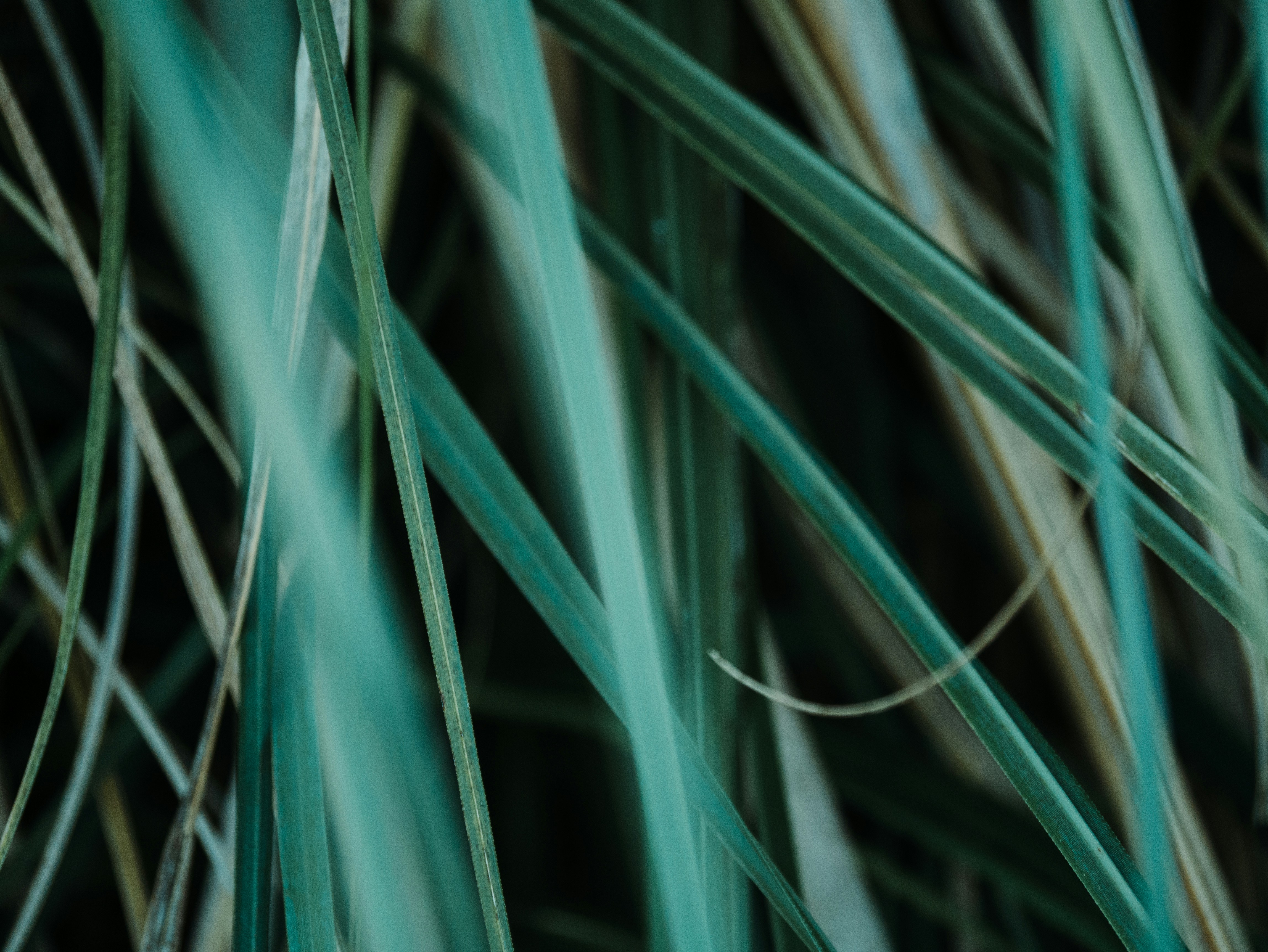 Photo by mattseymour