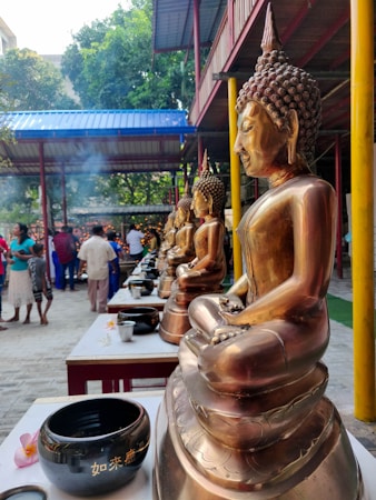 Exploring the Benefits of Online Buddhist Communities