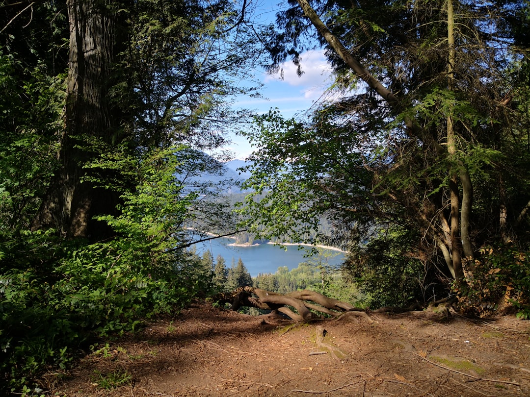 Forest photo spot Burnaby Mayne Island