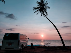 A van is parked near a beach during sunset, with a tall palm tree leaning over the shoreline. The sun is setting on the horizon, casting a warm glow over the ocean and creating a peaceful atmosphere.