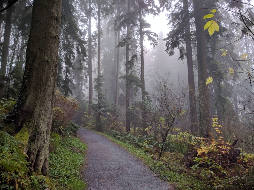 Forest photo spot Burnaby Cascade Falls Trail