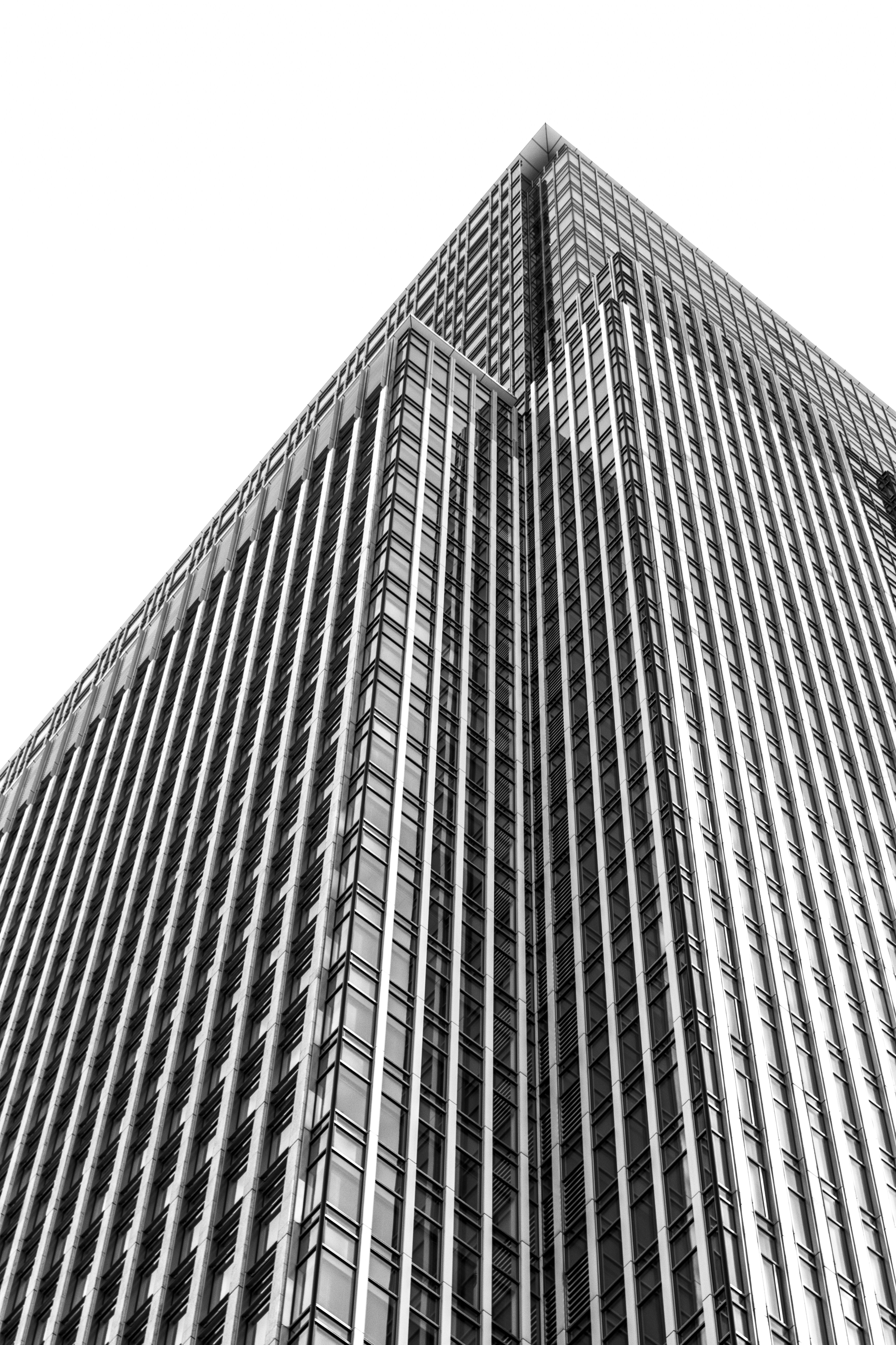 Photo by shunyakoide