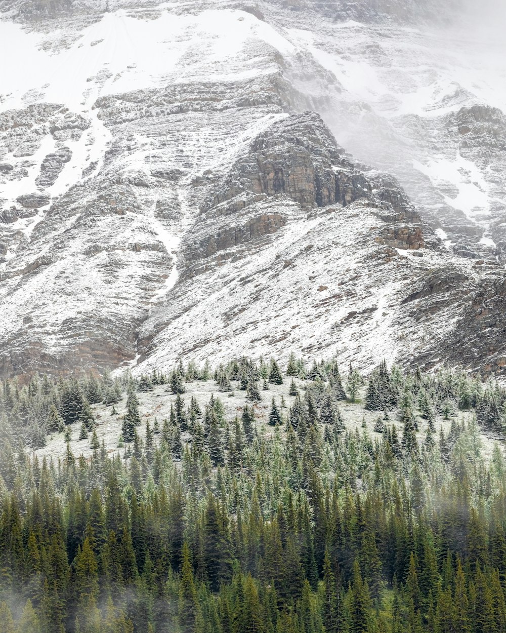 snow capped mountain during daytime