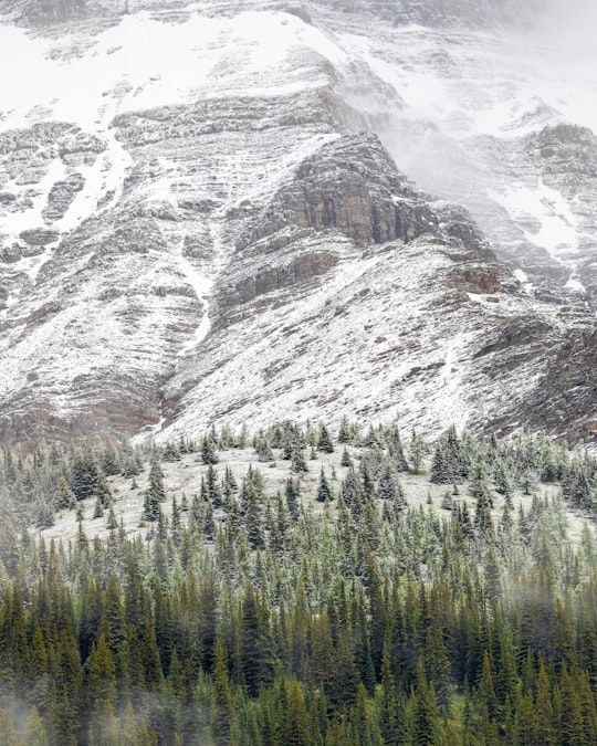 snow capped mountain during daytime in Improvement District No. 9 Canada