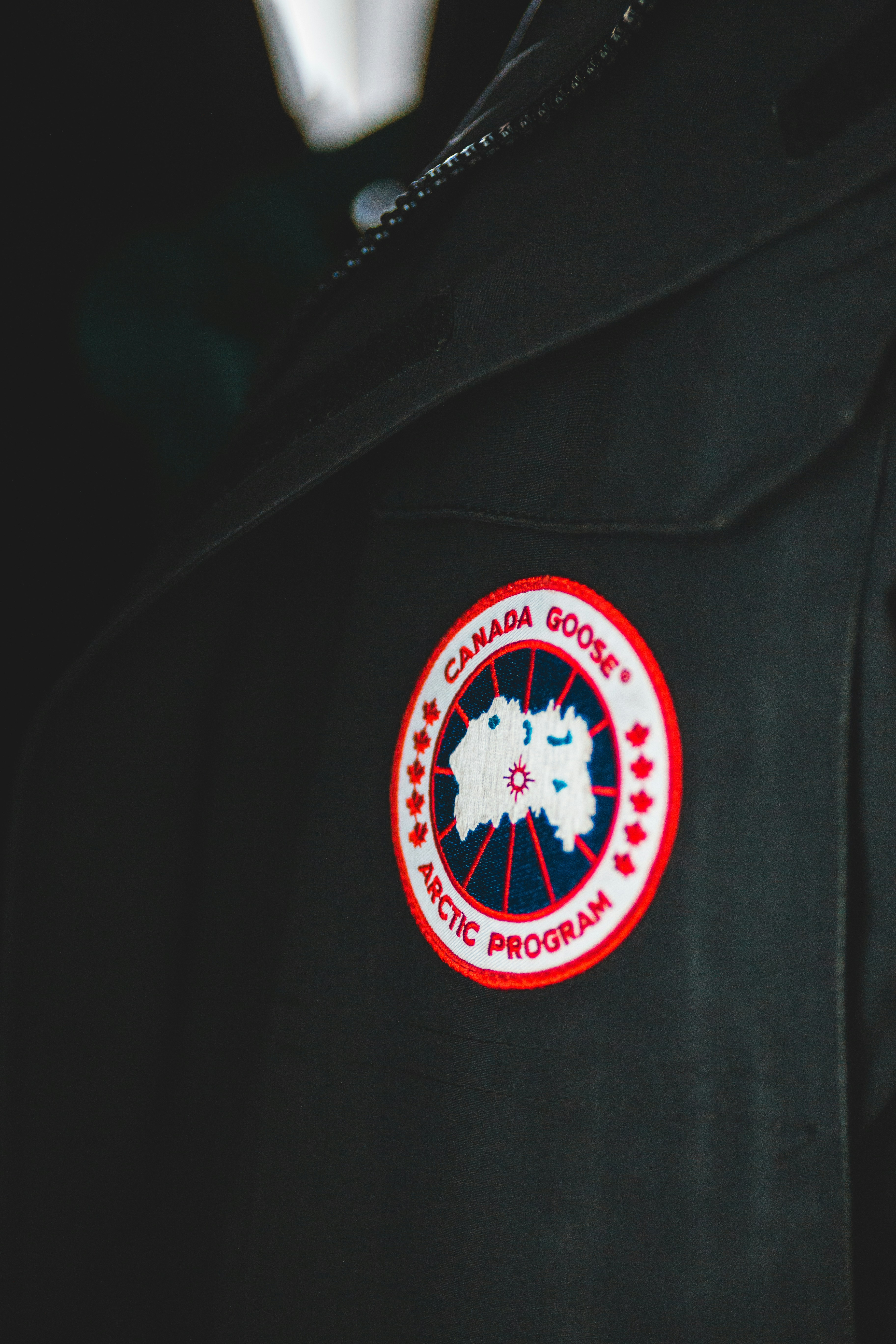 Canada Goose
