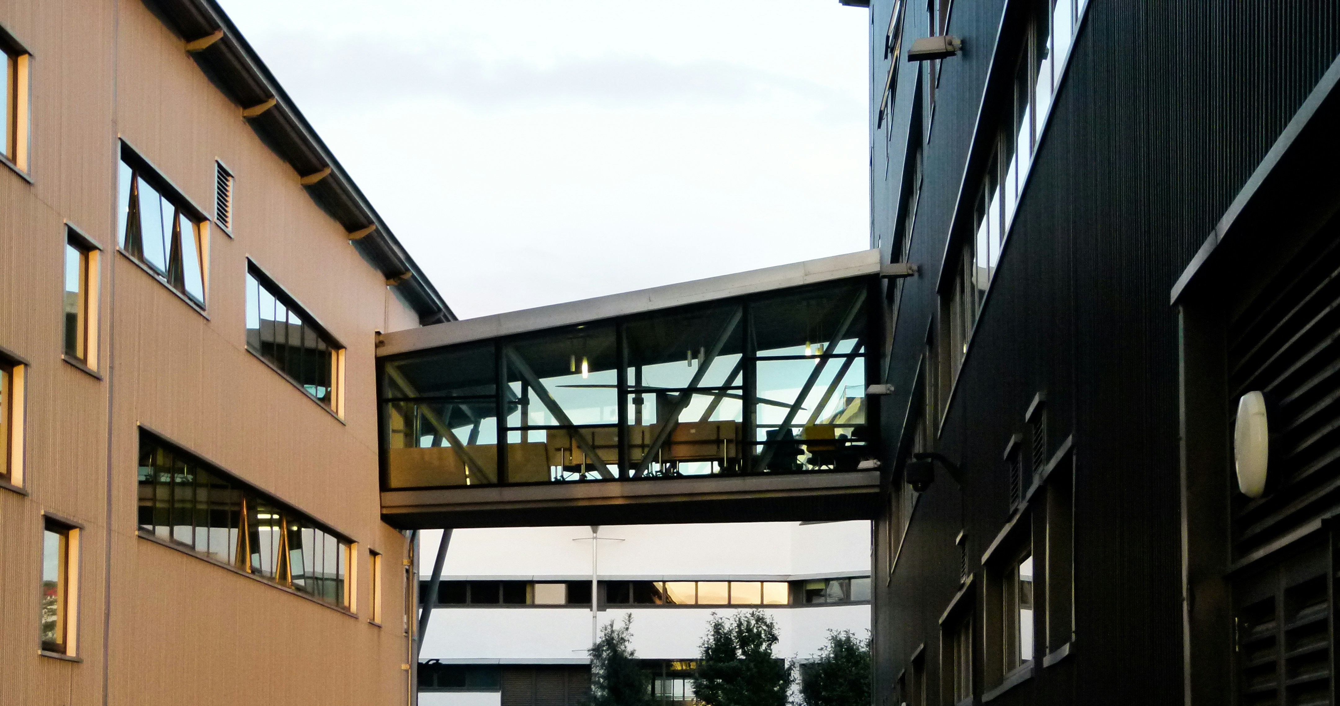 Photo by luizagiannelli