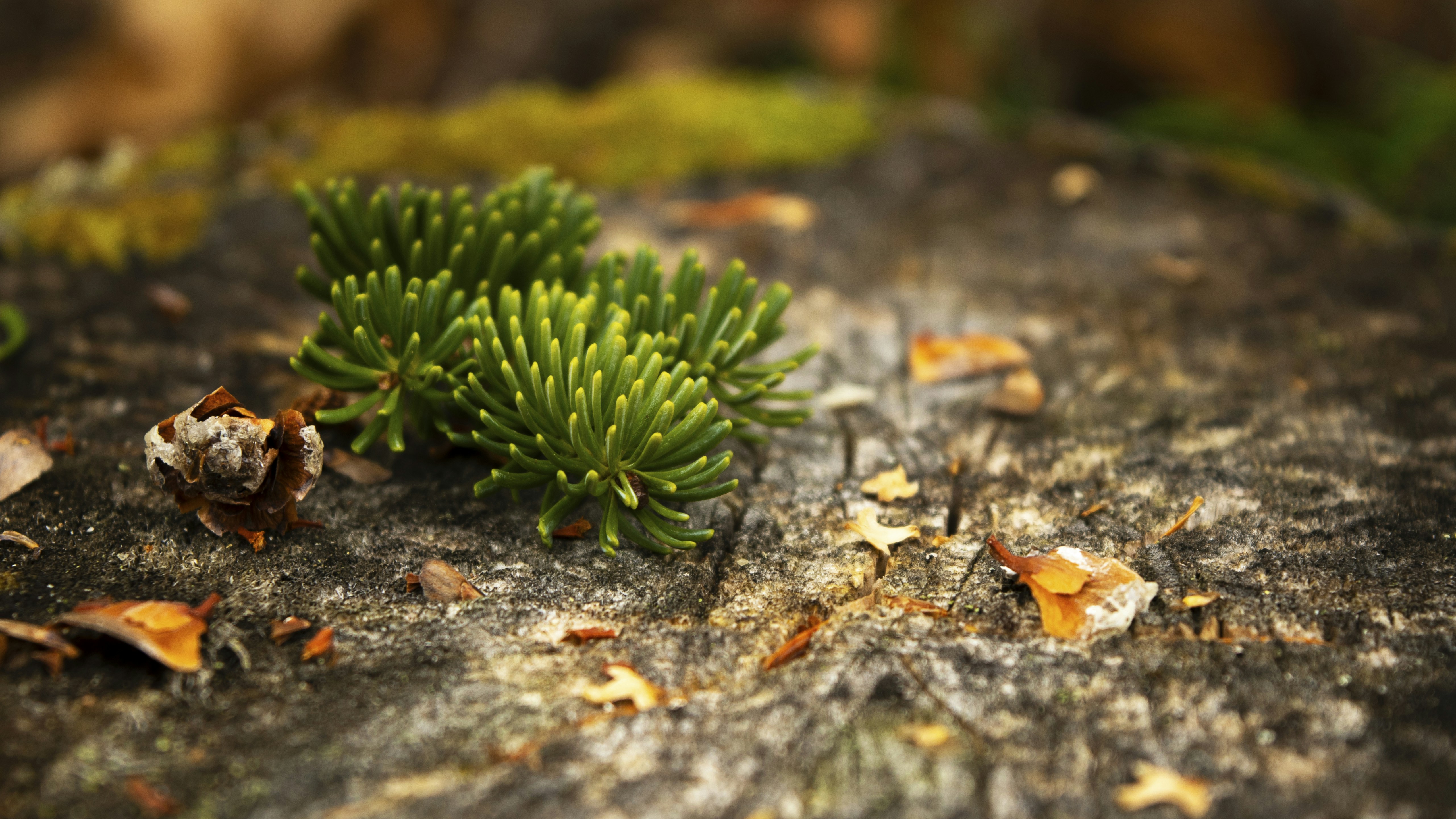 Photo by jv_photographer