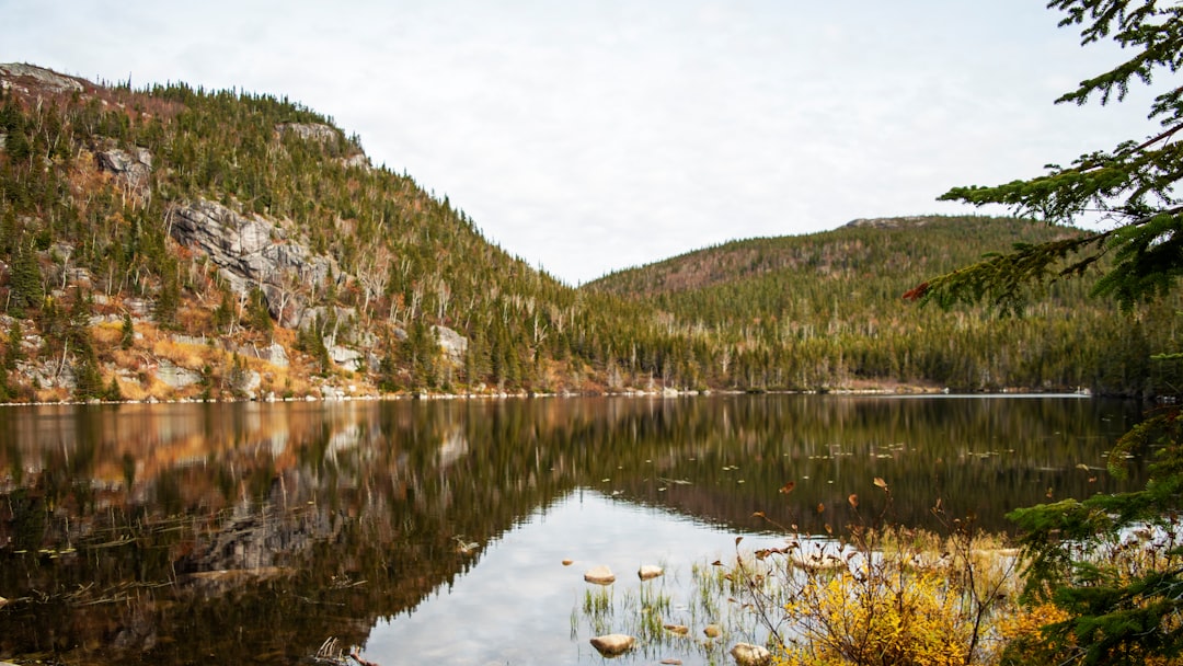 Nature reserve photo spot Mont du Lac des Cygnes Québec