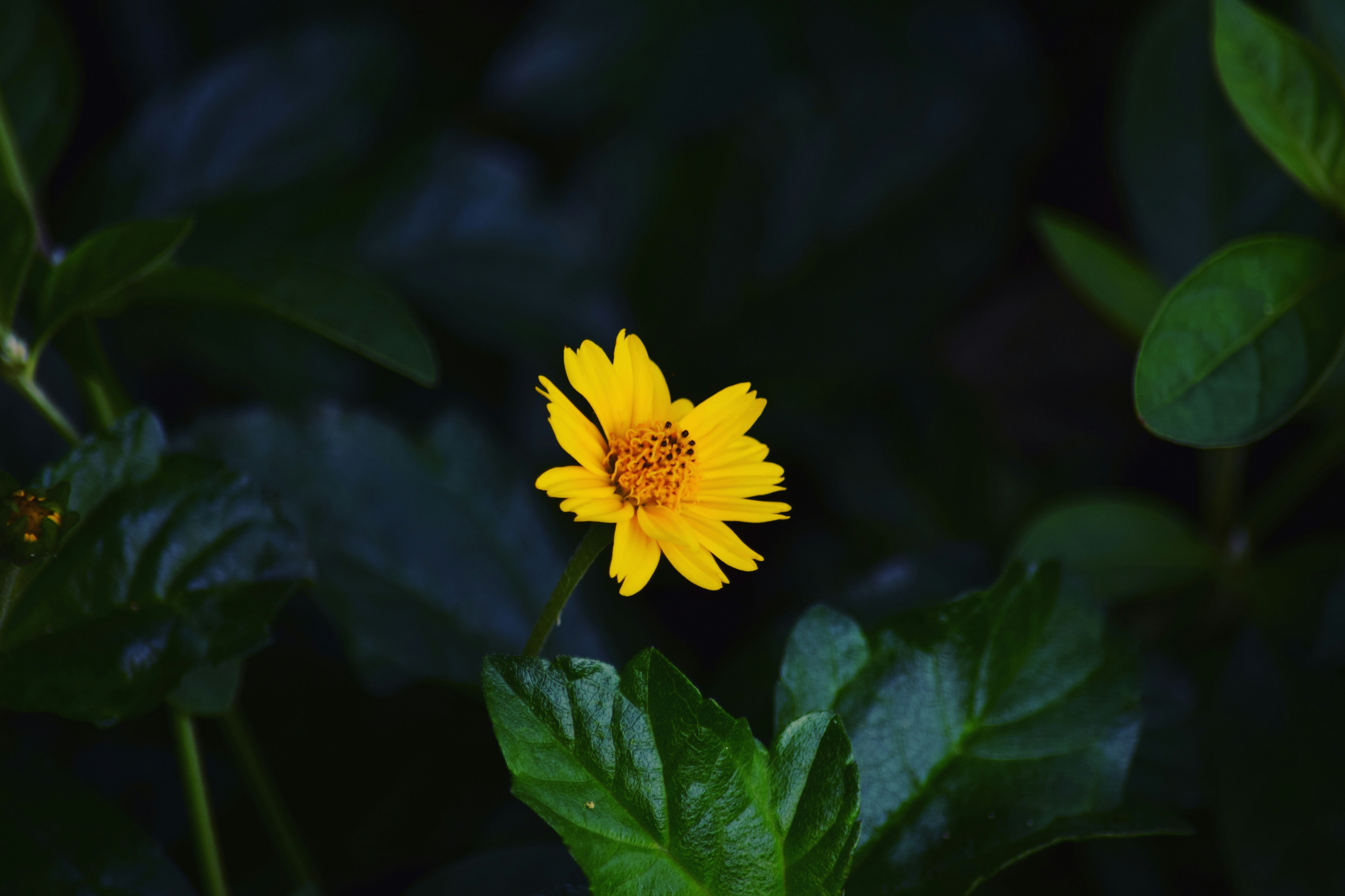 Photo by rrajputphotography