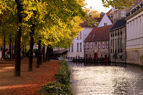 Kanaal in Brugge in de herfst, kade met vergeelde bomen