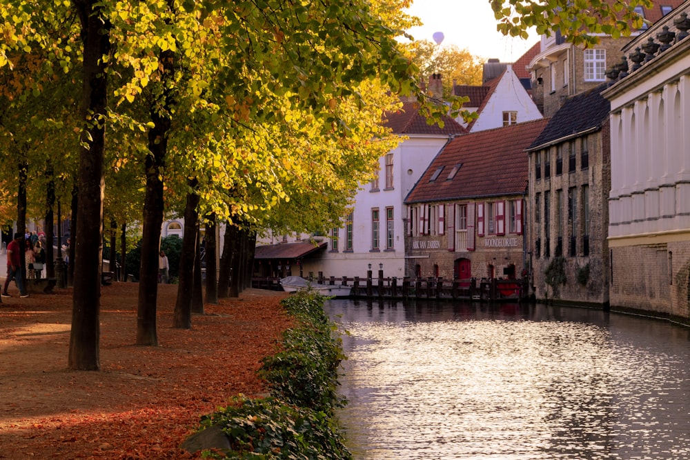 Ruhiger Fluss während des Tages