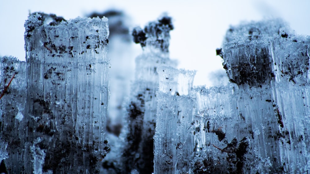 a close up of a bunch of ice crystals