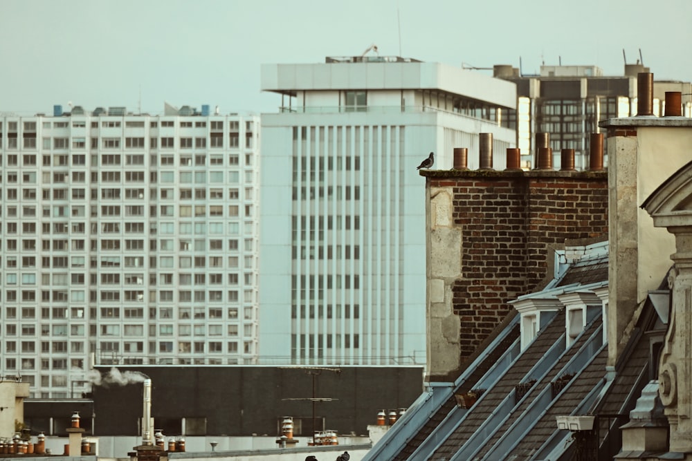 white and grey concrete buildings during daytie