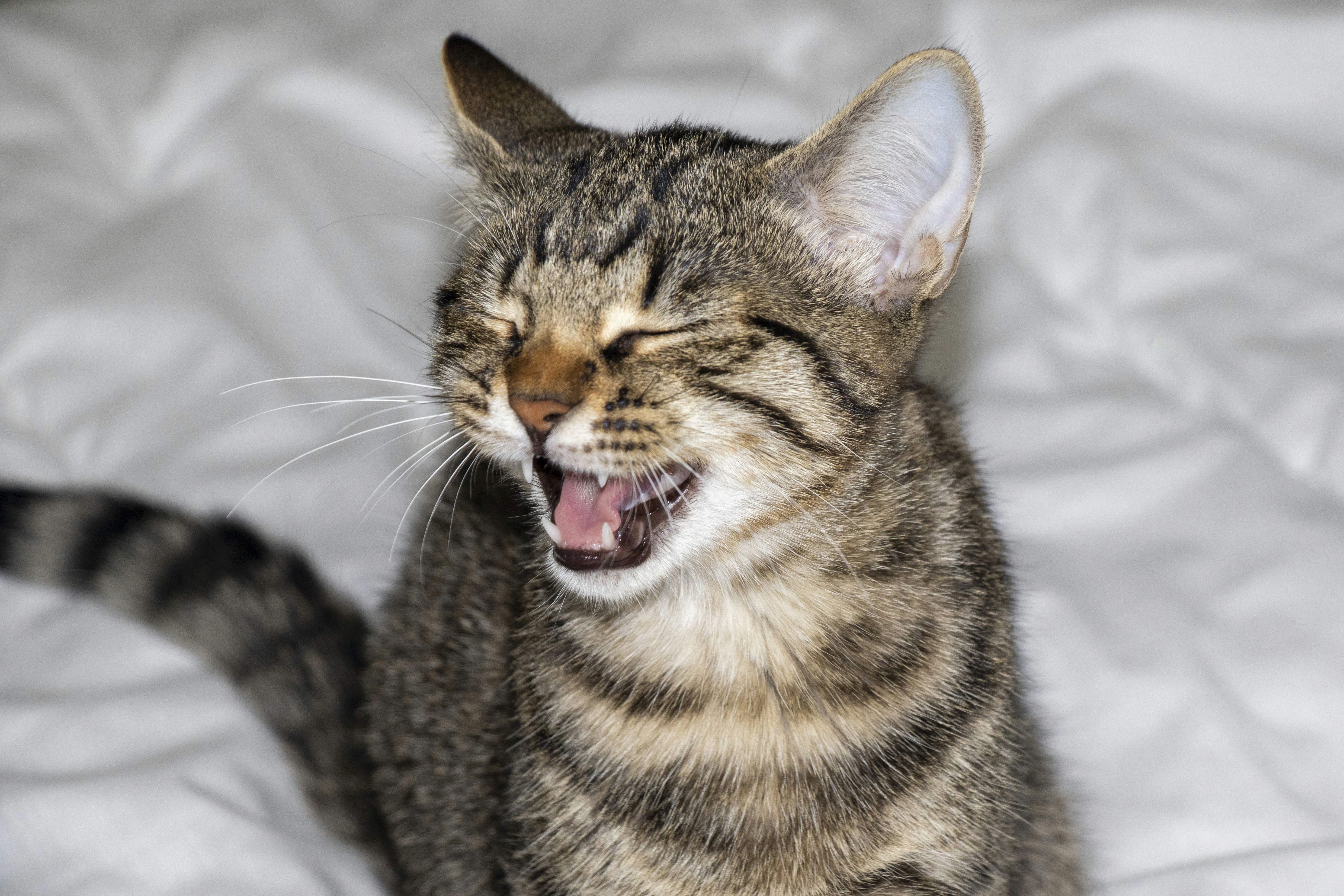 Photo by lennyvancamp