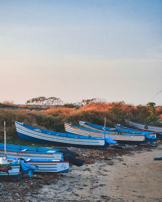 blue-and-white boats during daytime in Neendakara India