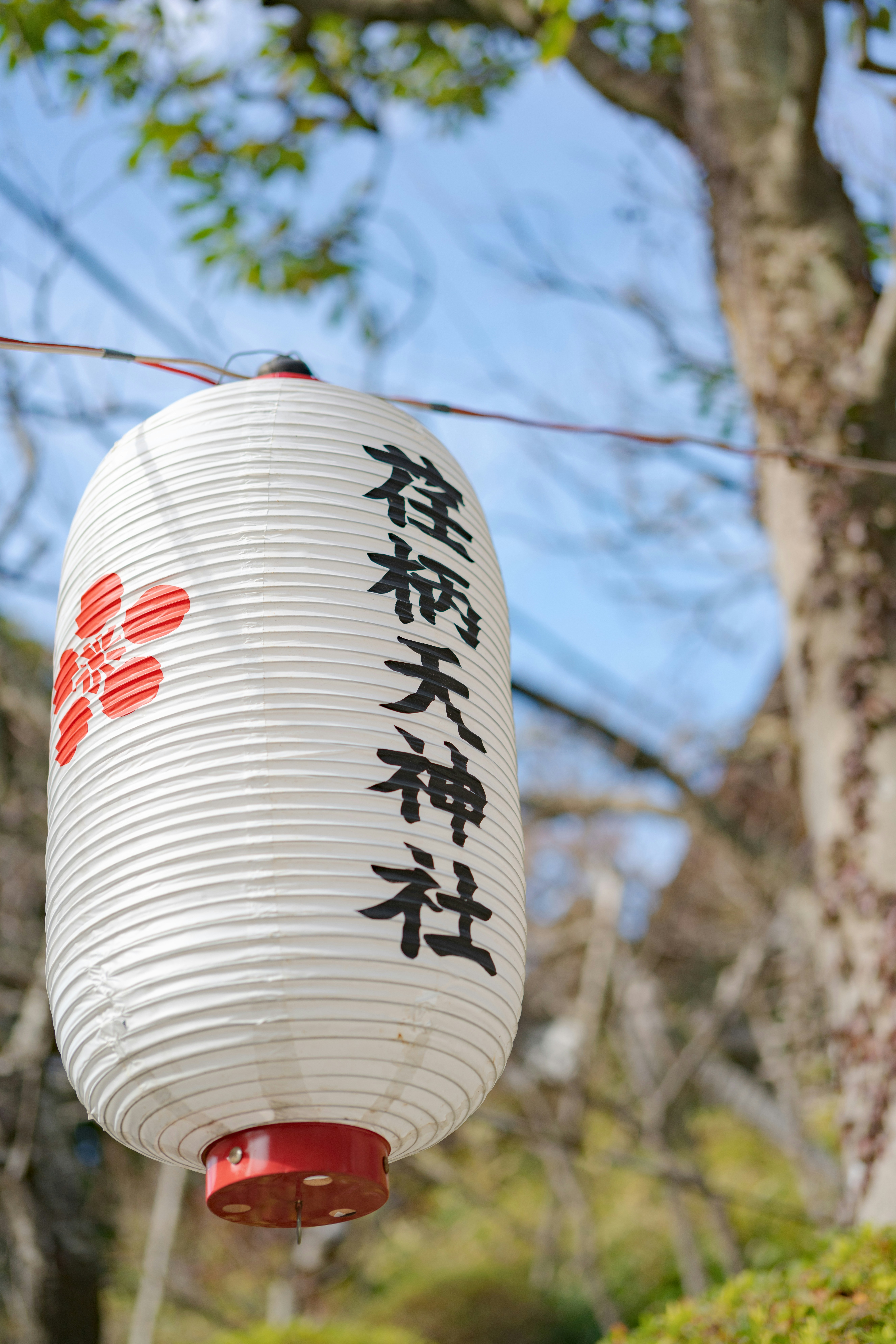 Abaodam Weltraum Laterne - Faltbare Rakete Mit Planeten 43x38x25cm