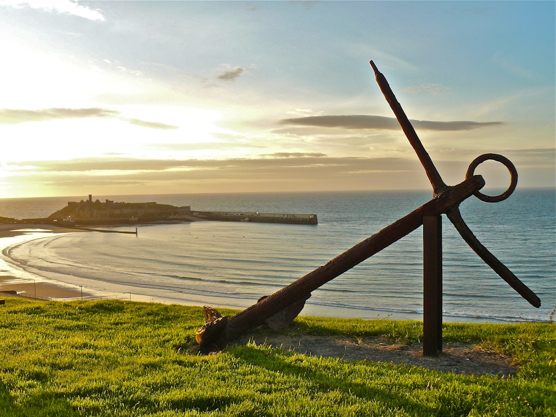 anchor on grass shore during day