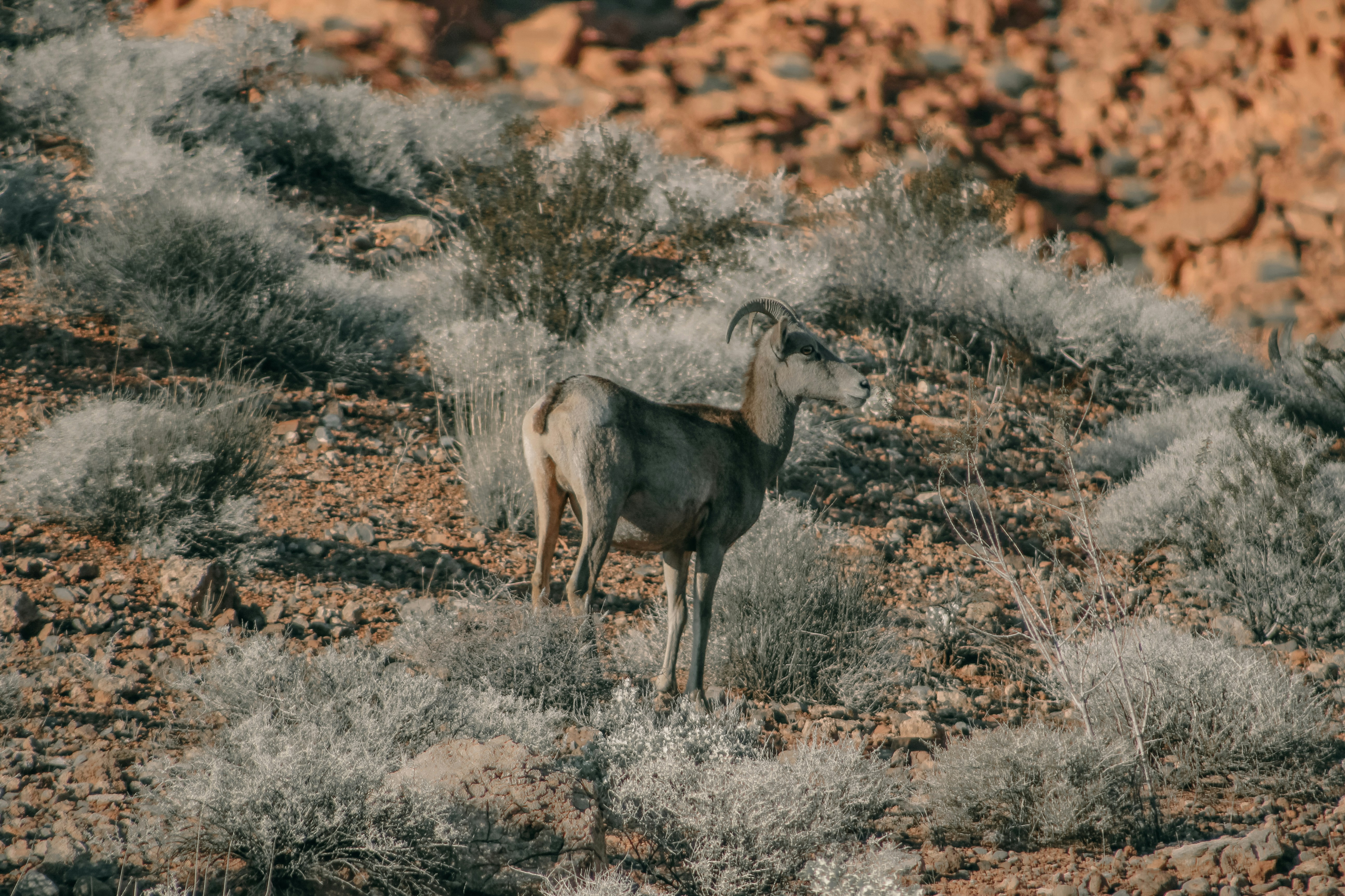 Photo by geoffreykang_21