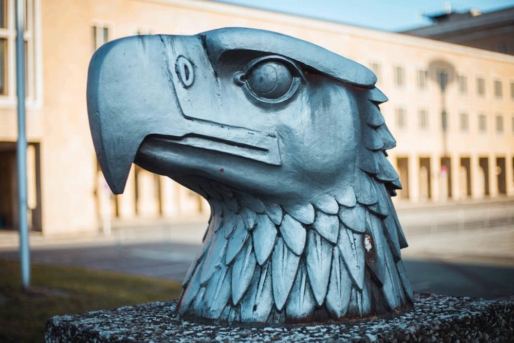 gray eagle bust decor