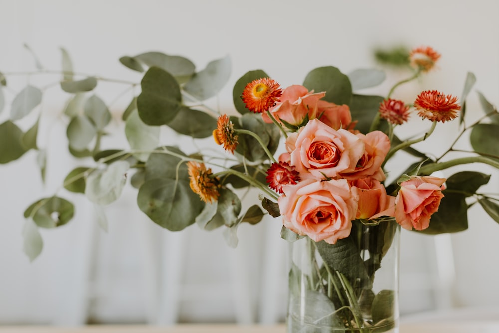 close up photography of pink roses in clear glass vase