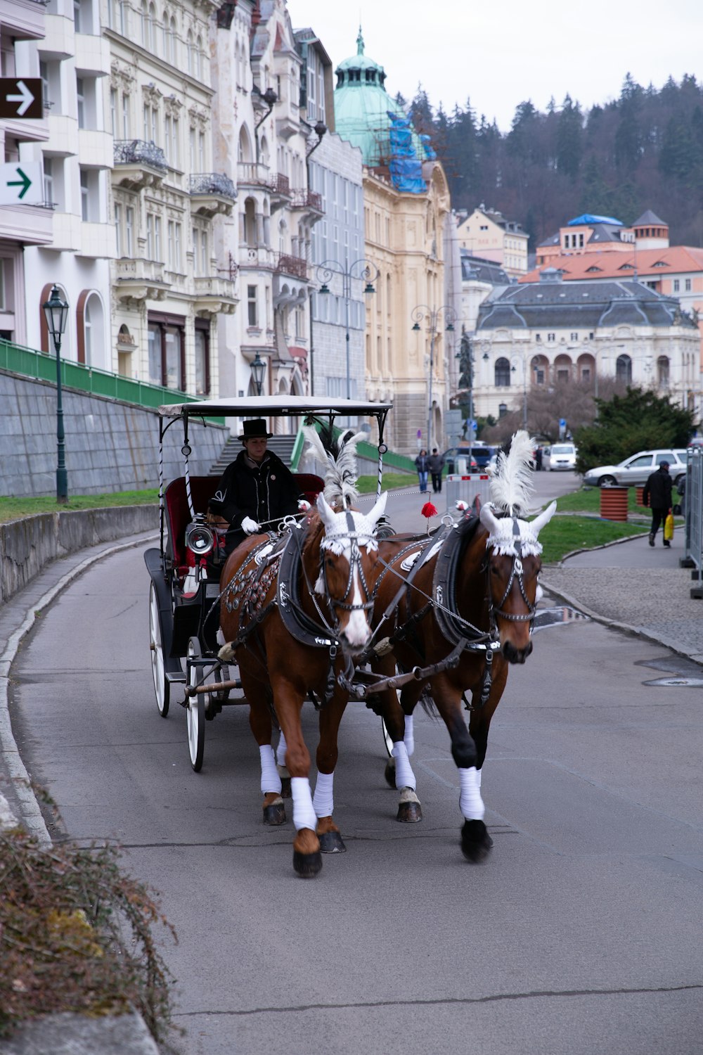 brown horse carriage during daytime