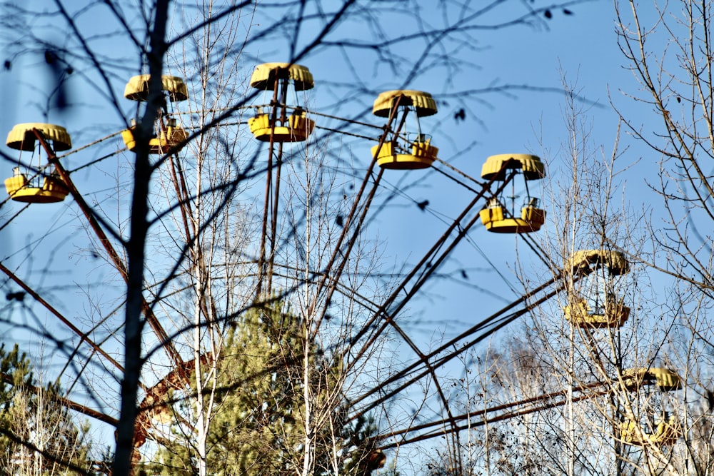 ferreis wheel at daytime