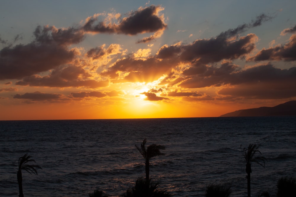 ocean during sunset