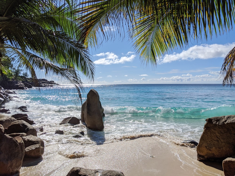 rock formation on shoreline