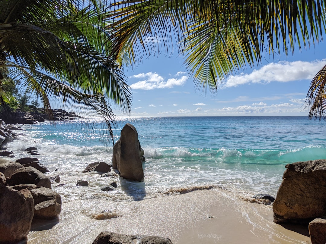 rock formation on shoreline