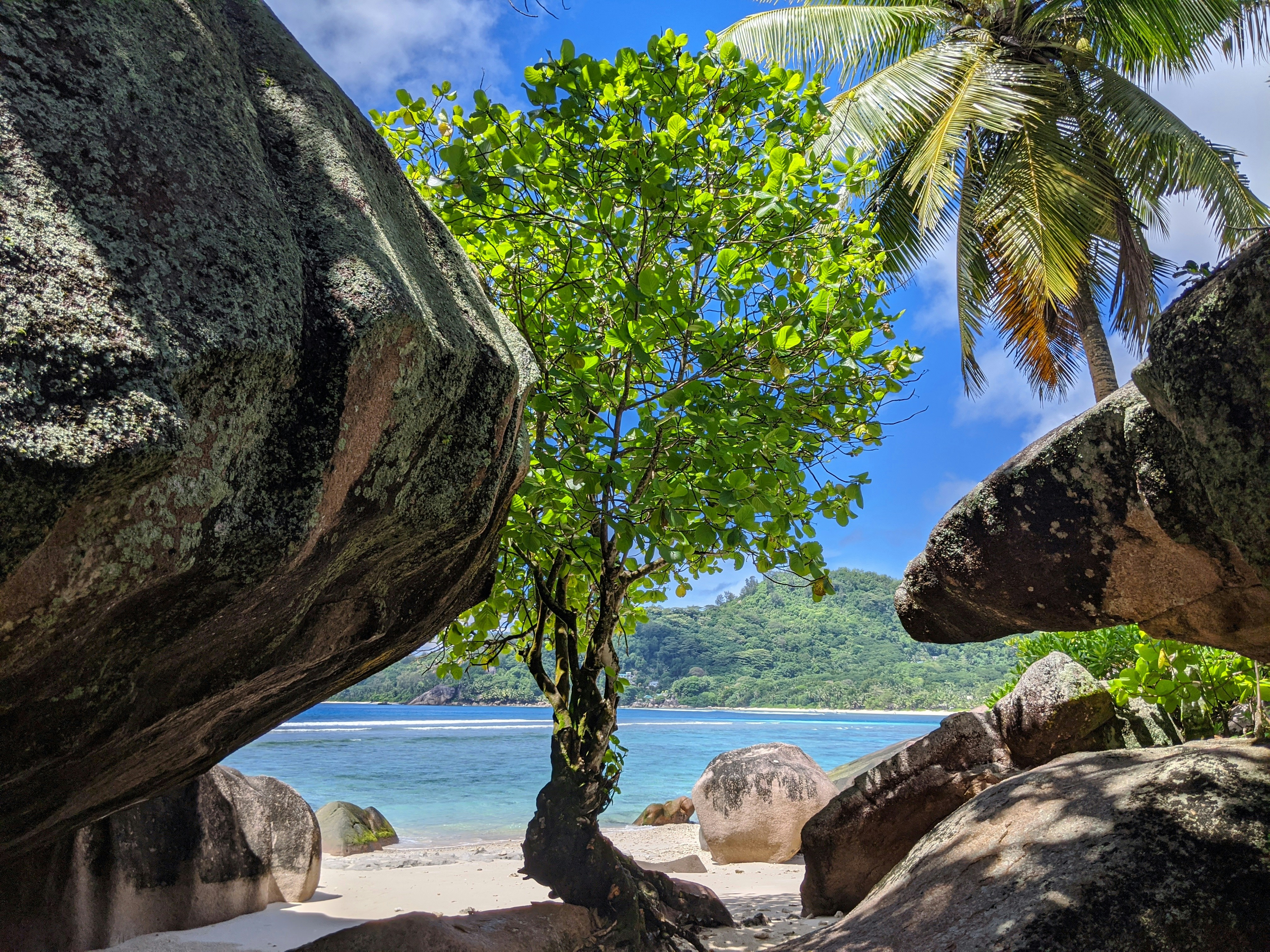 Seychelles : plages, nature et aventures de rêve