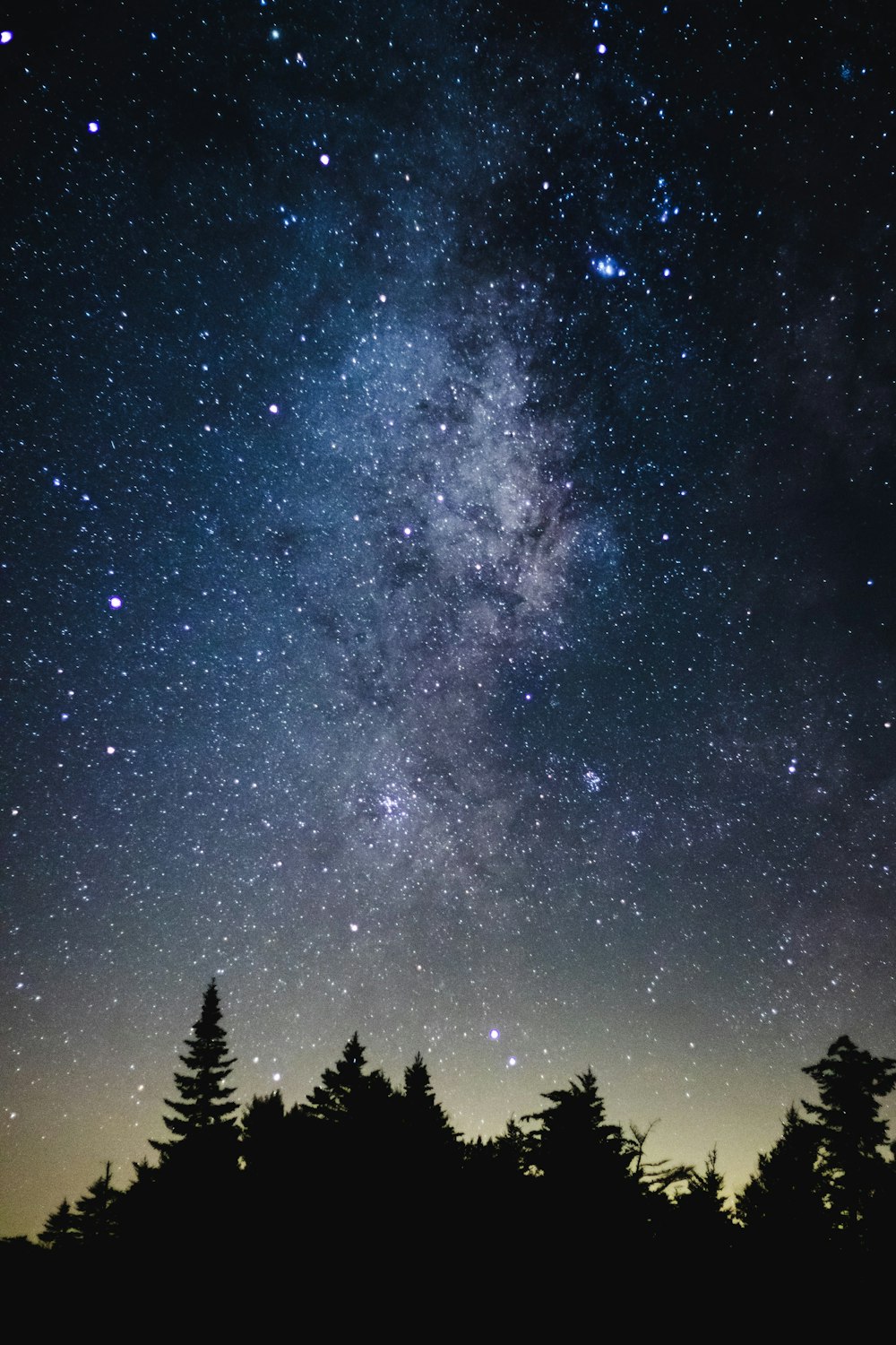 treeline silhouette under milkyway at nighttime