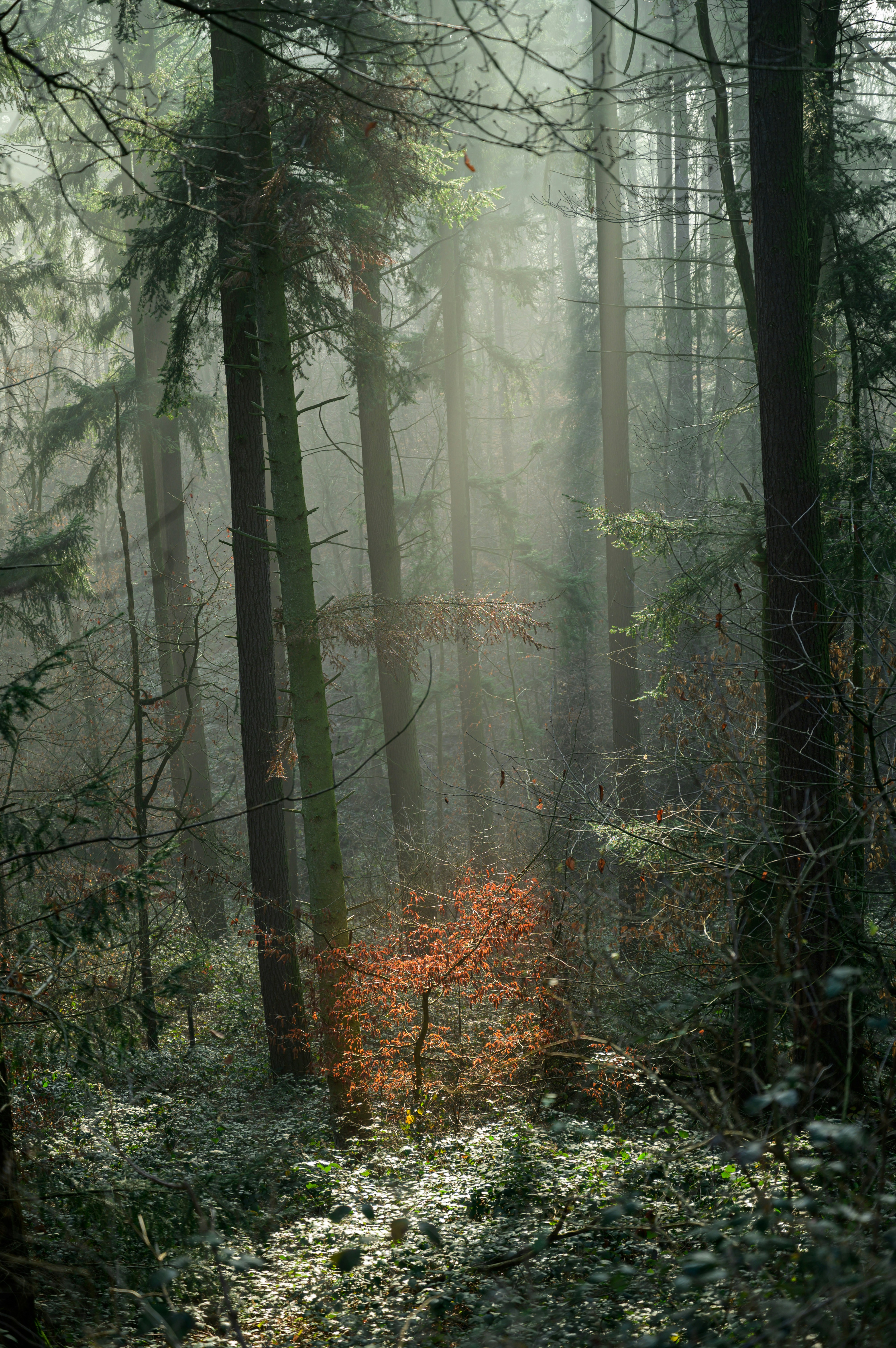 Photo by babettelandmesser