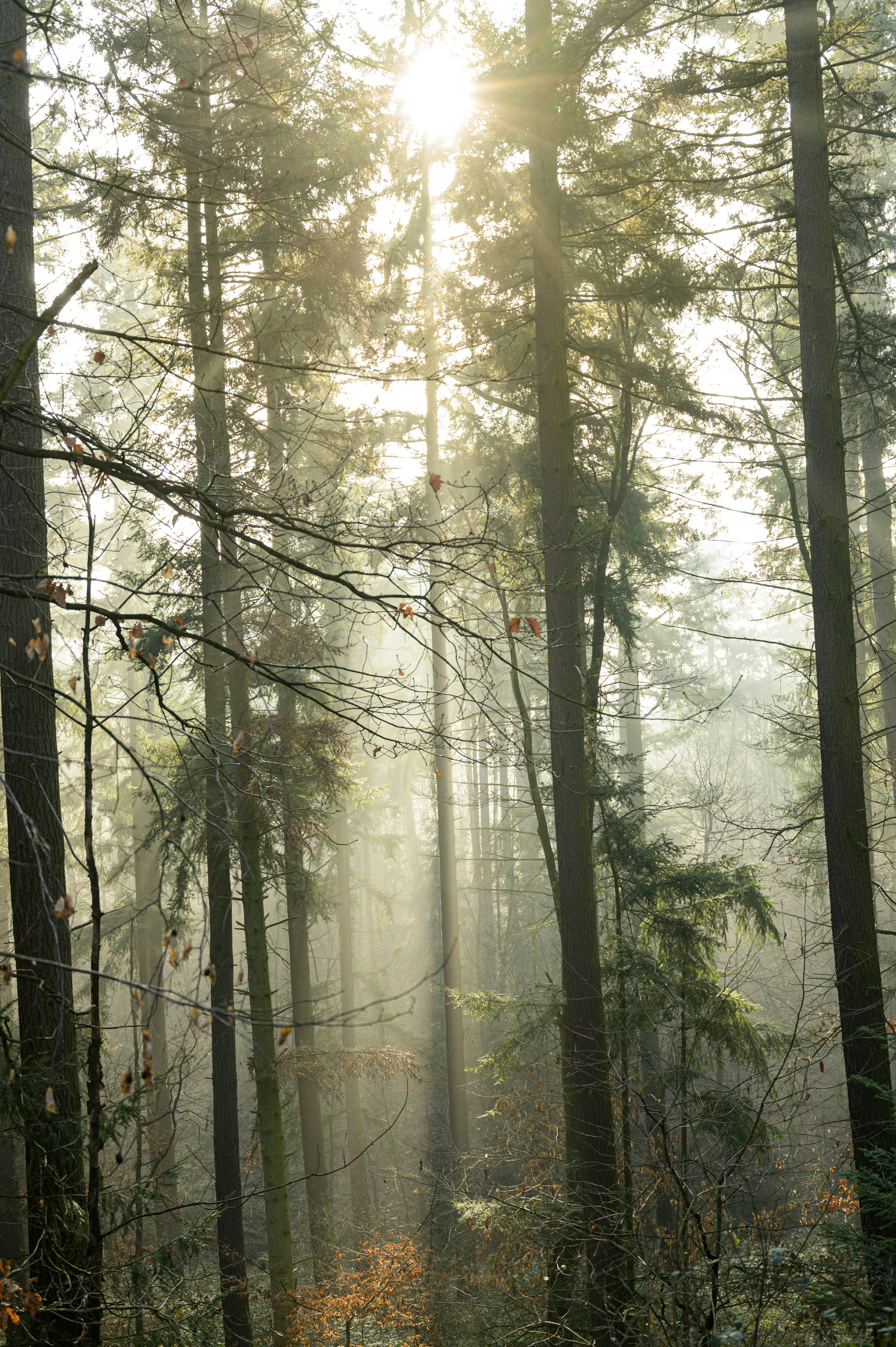 Photo by babettelandmesser