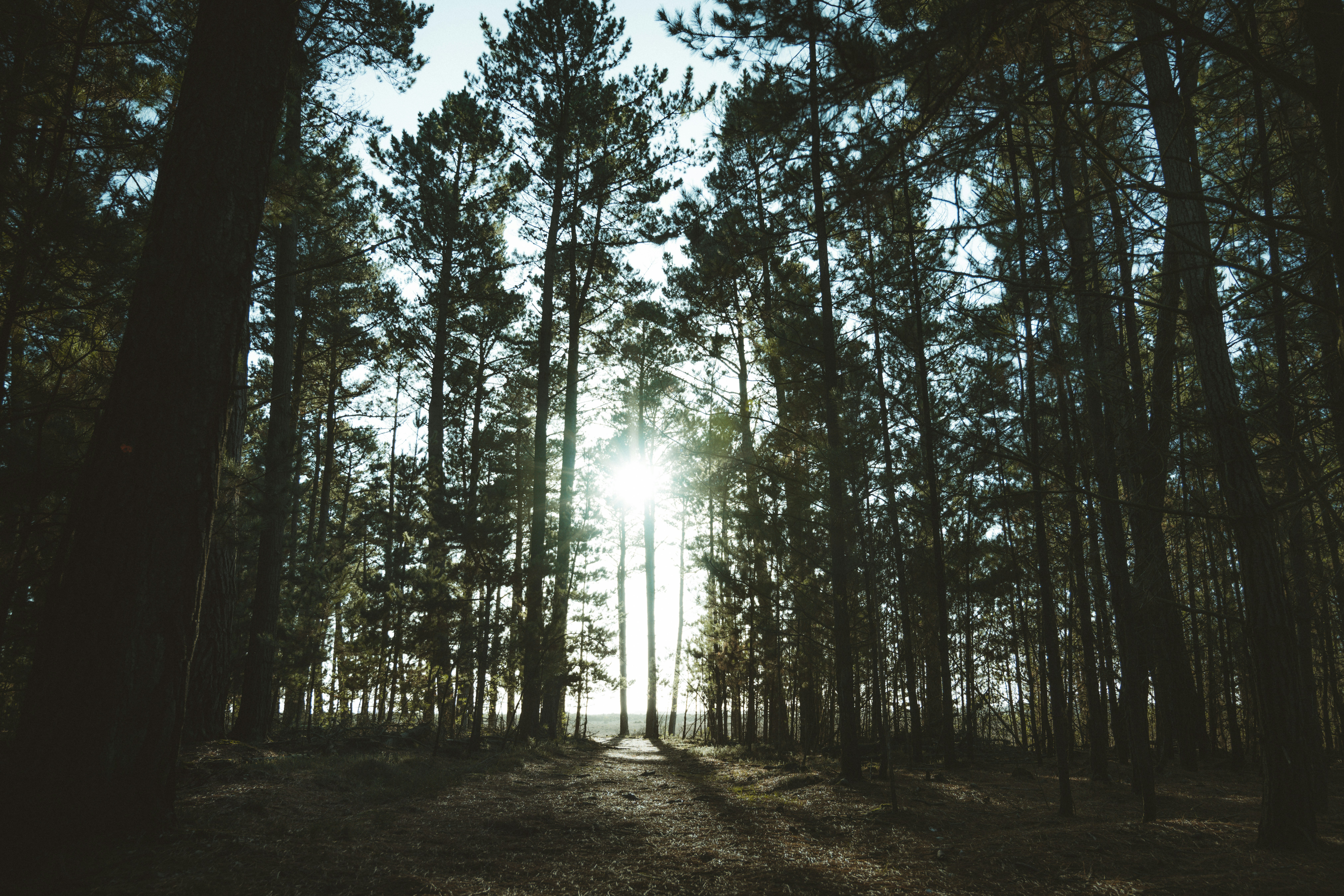 Photo by anniespratt