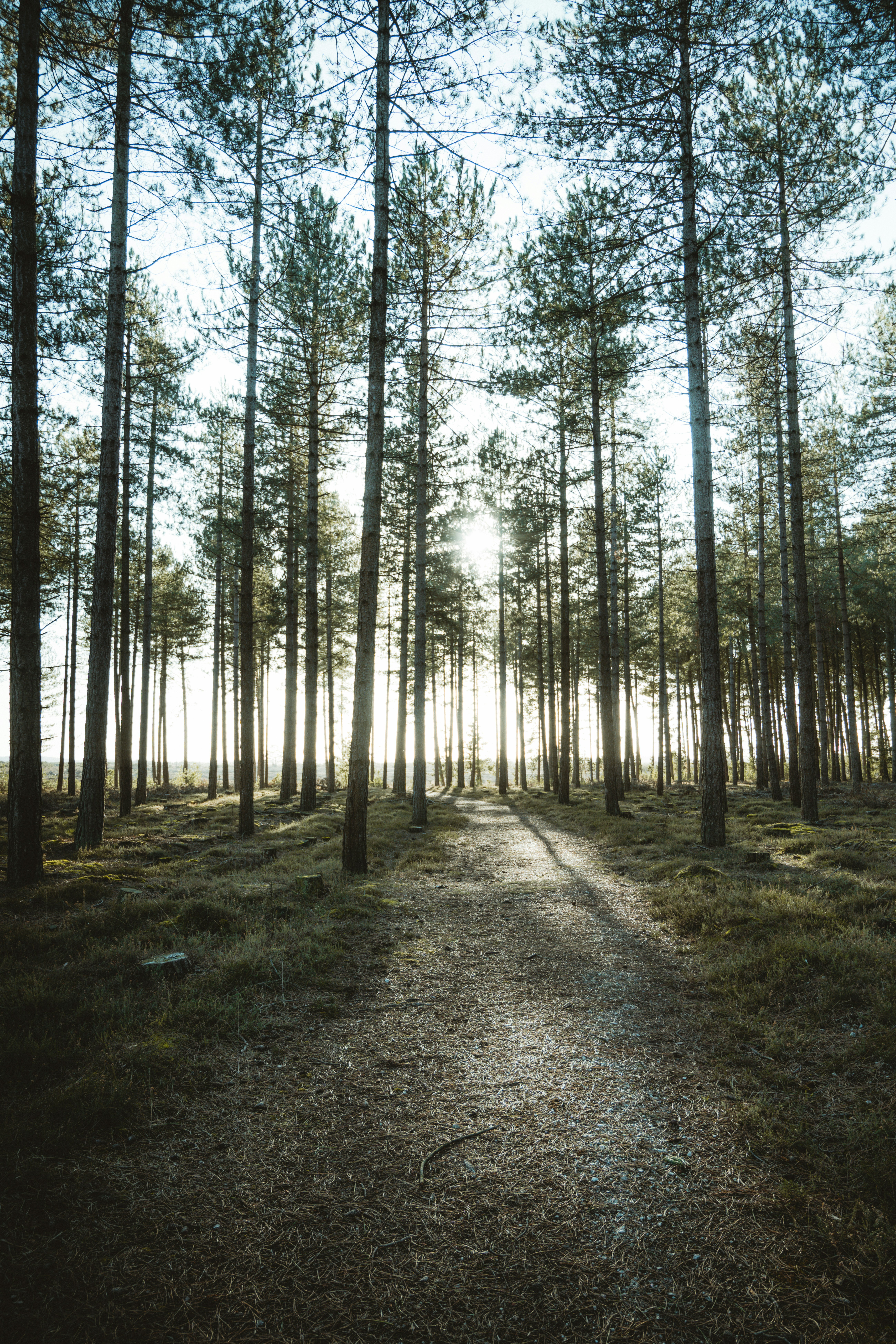 Photo by anniespratt