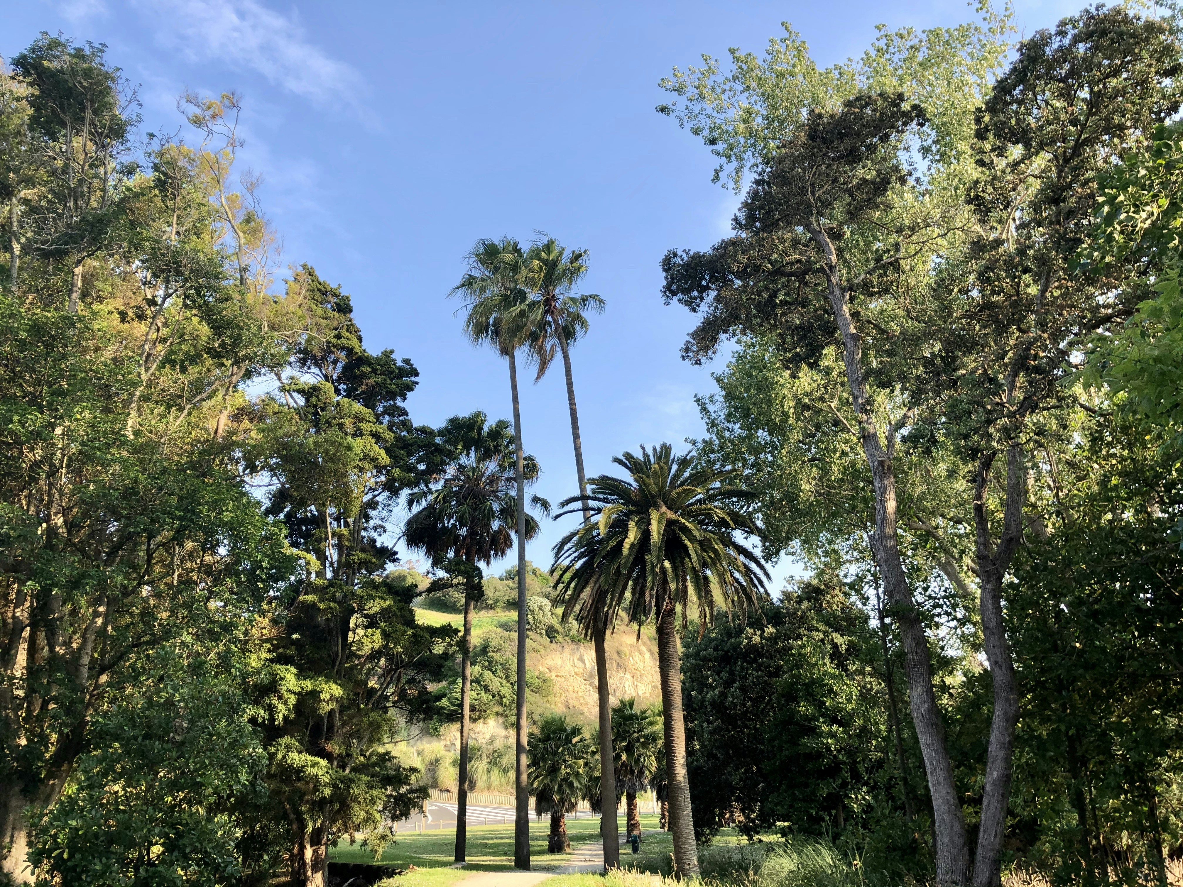 Photo by pierrehenry