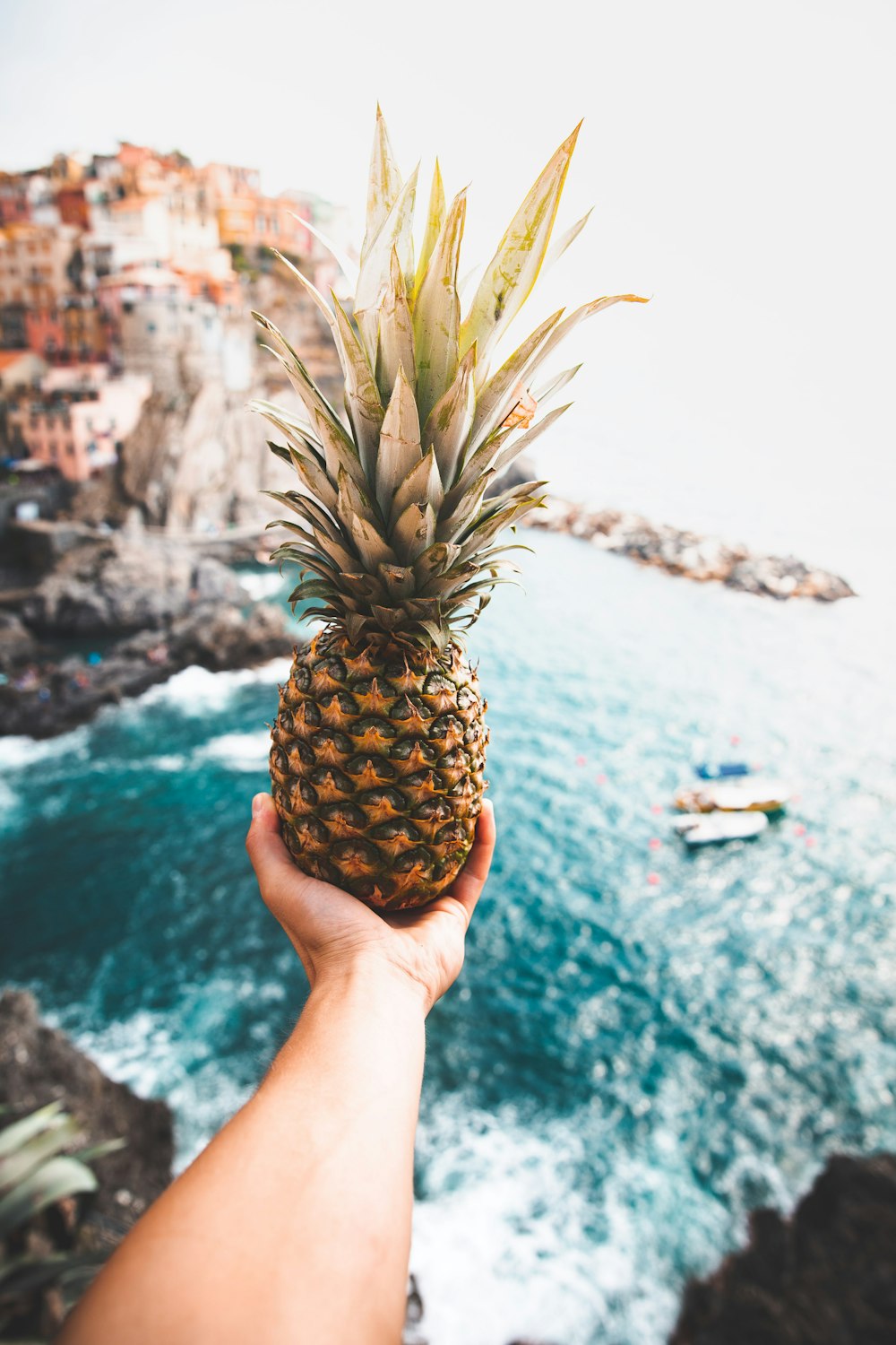 person holding pineapple at cliff